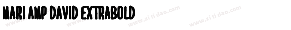 MARI&DAVID EXTRABOLD字体转换